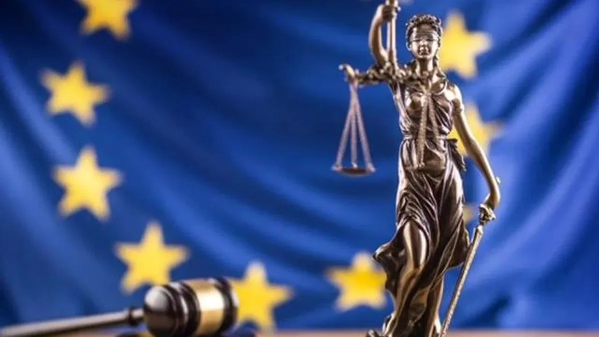 AB Türkiye Delegasyonu, İBB davasını gözlemci olarak izliyor