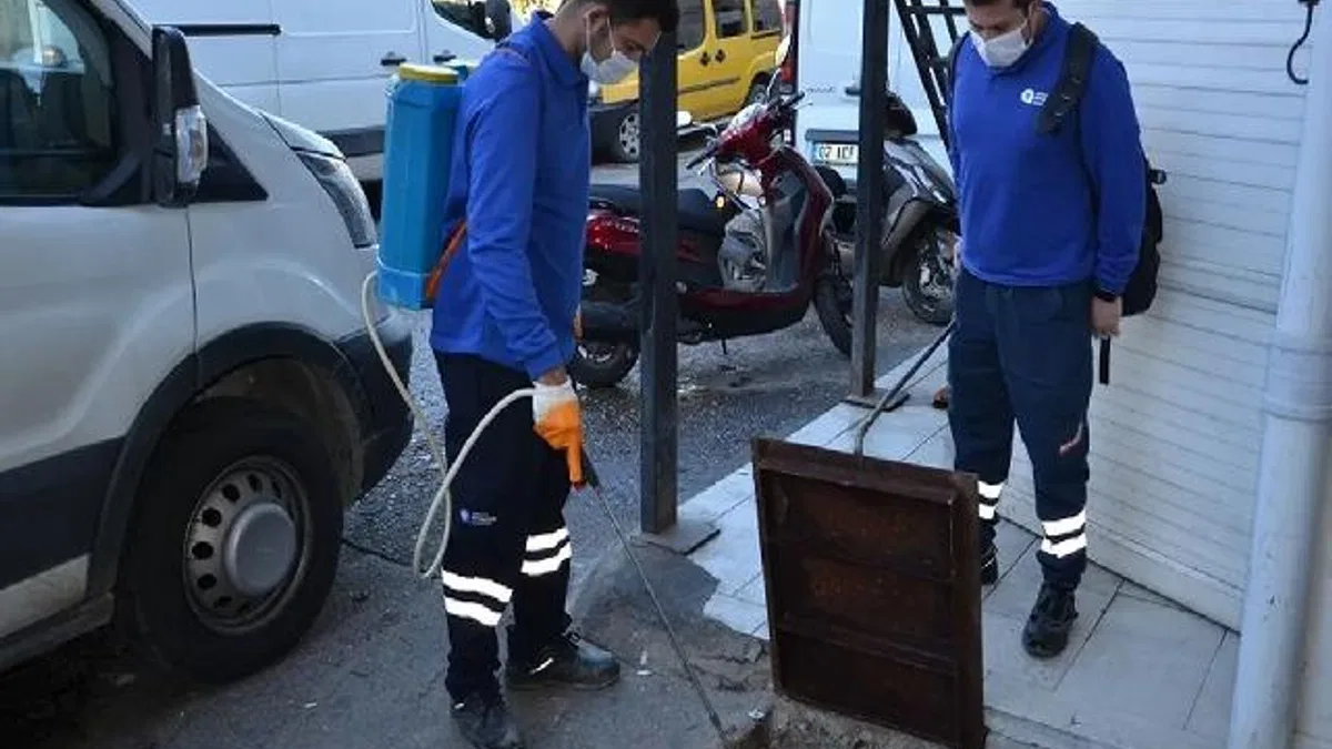 Antalya'da vektörel mücadele çalışmaları sürüyor