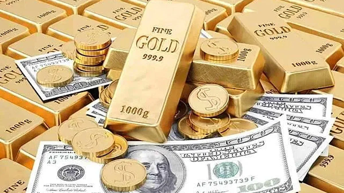 Mahkemeden altın ve dolar kararı!