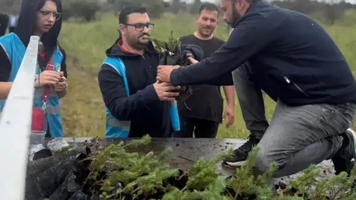 İzmir Aliağa’da yangınların yarası bin fıstık çamıyla sarıldı
