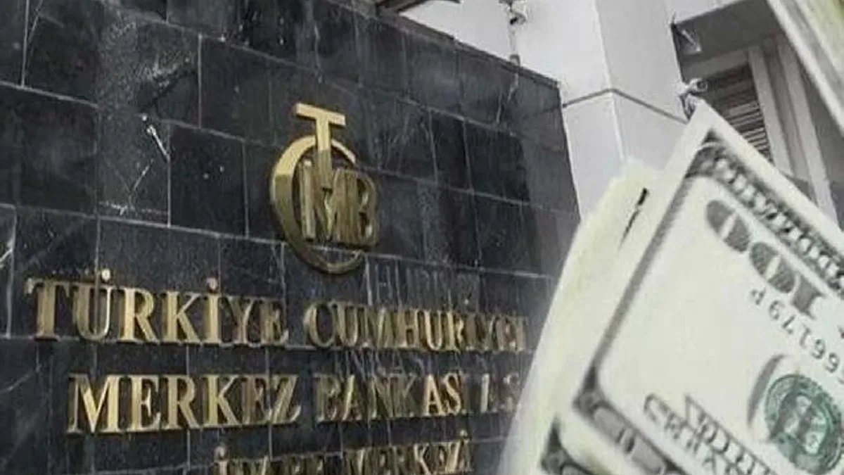Firmalara 'Merkez'den döviz teşviki