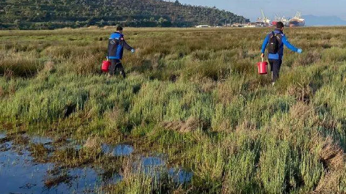Muğla Büyükşehir'den Güllük'te 60 hektarda ilaçlama