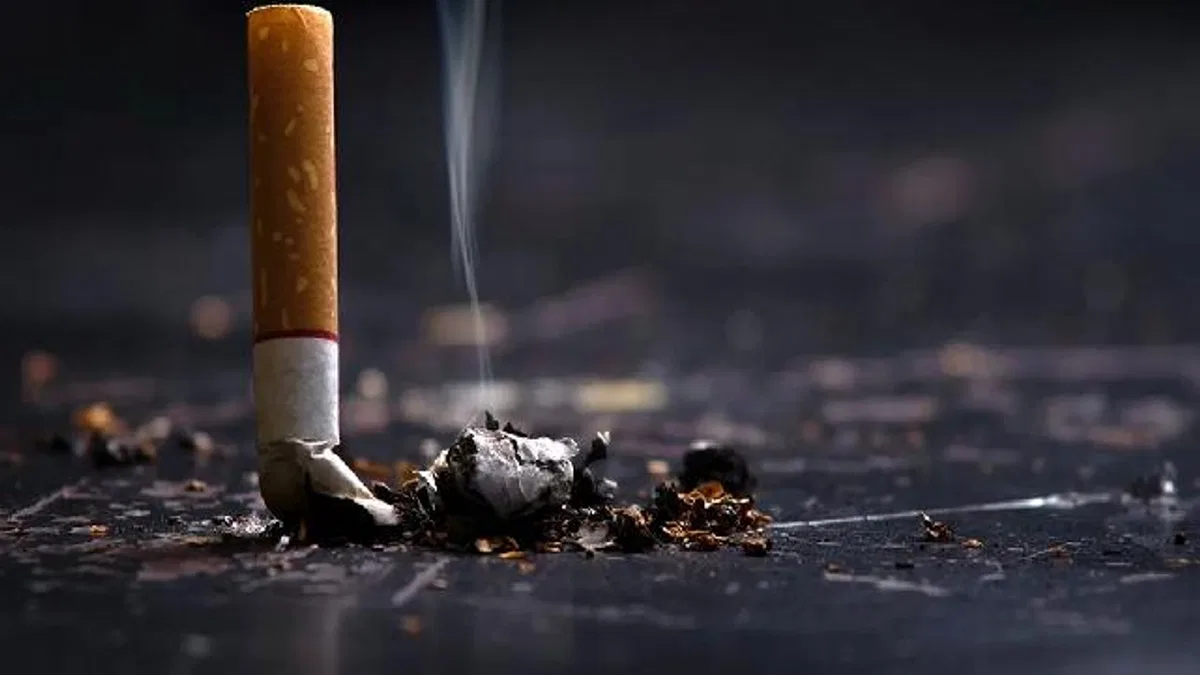 Yol kenarına atılan izmaritler yangına davetiye çıkarıyor