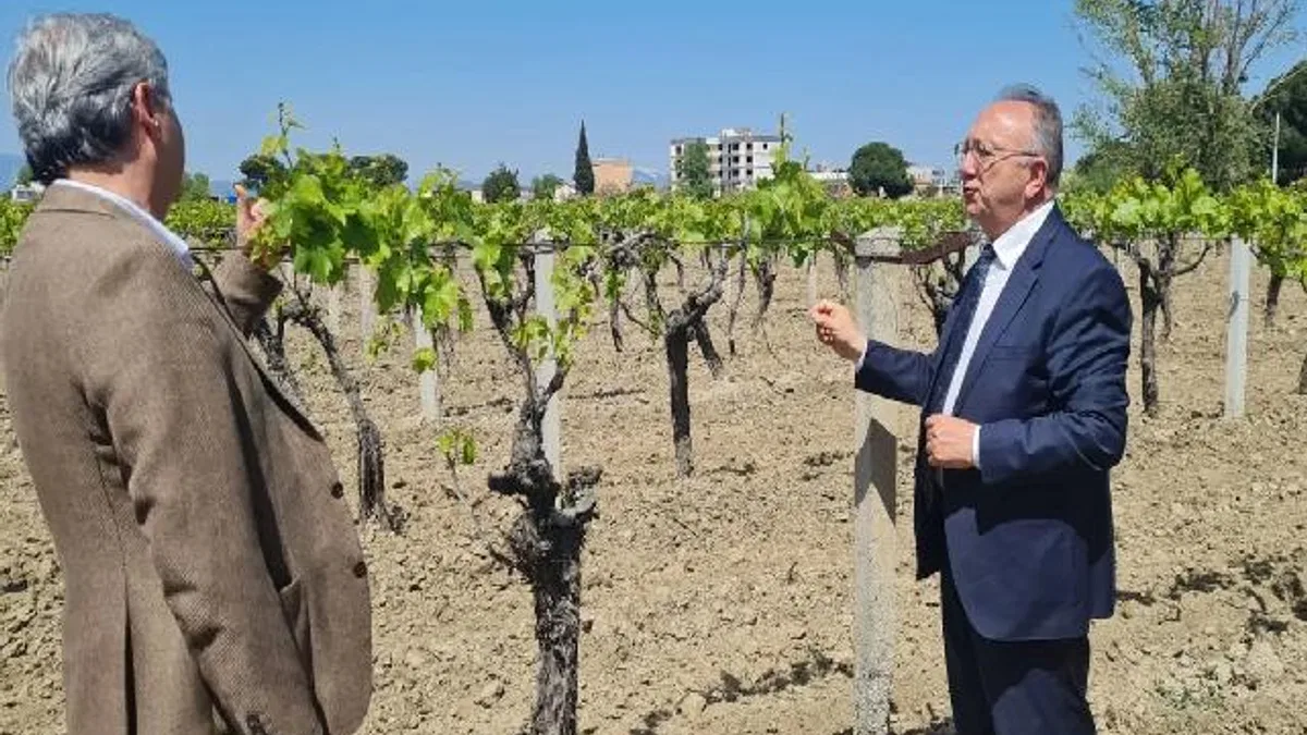 Manisa’da üreticilere genişletilmiş hibe desteği