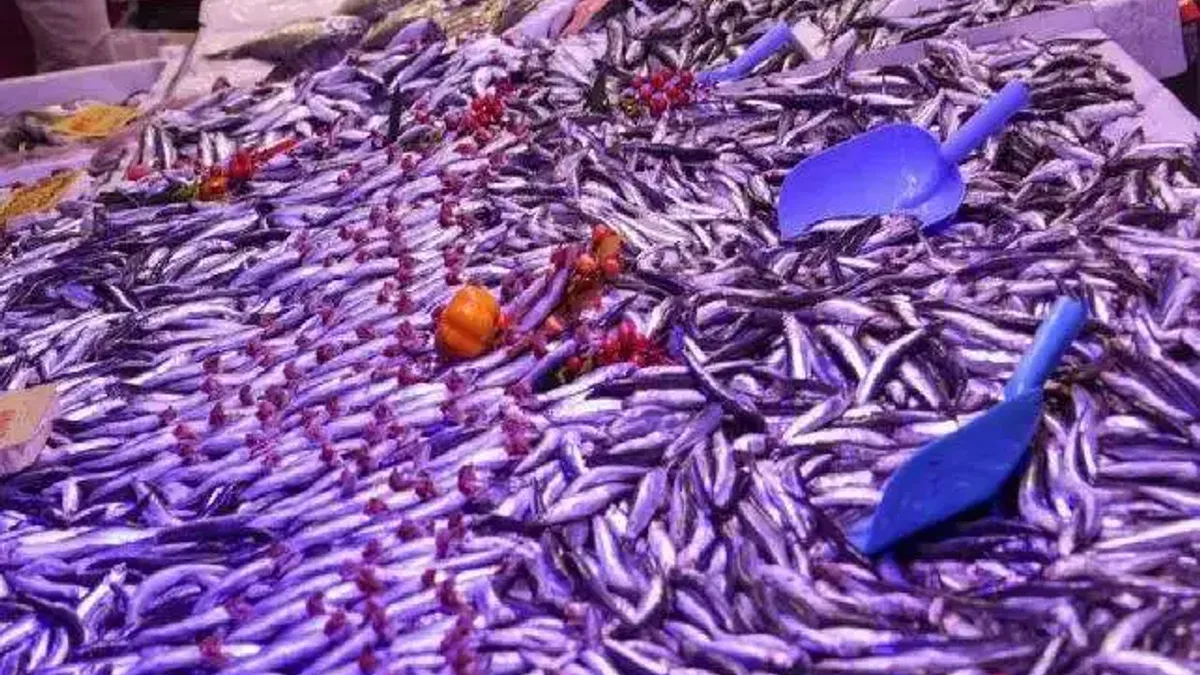 Eskişehir’de balık satış yerlerine ortak denetim