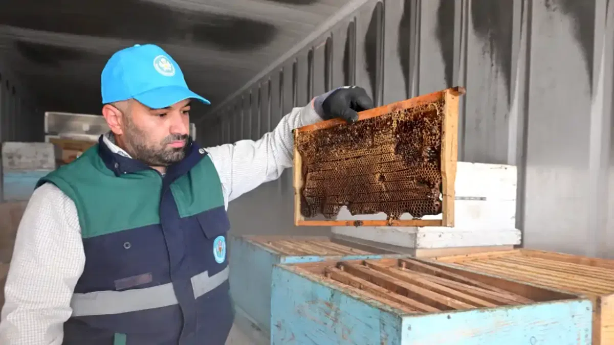 Manisa’da arıcıların petekleri eksi 30’da korunuyor