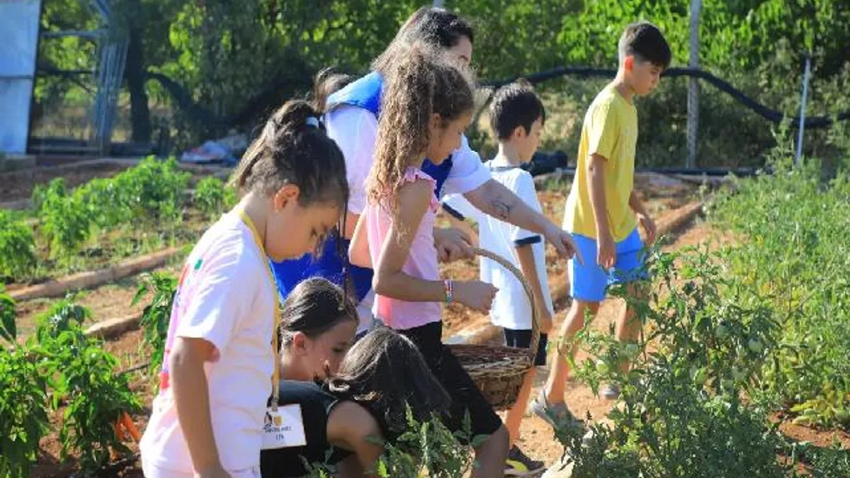 Muğla’da minik eller hasat sevinci yaşadı