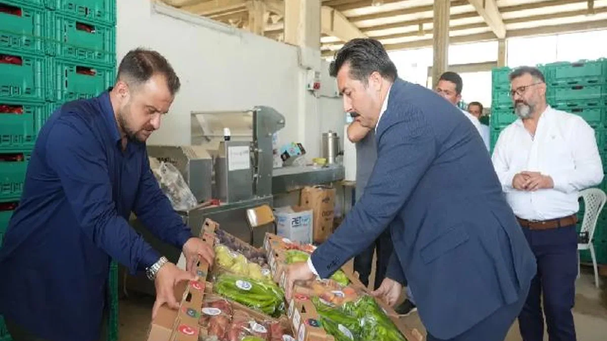 Bursa Yenişehir'in tarım ürünleri Libya yolunda... İlk numuneler gönderildi