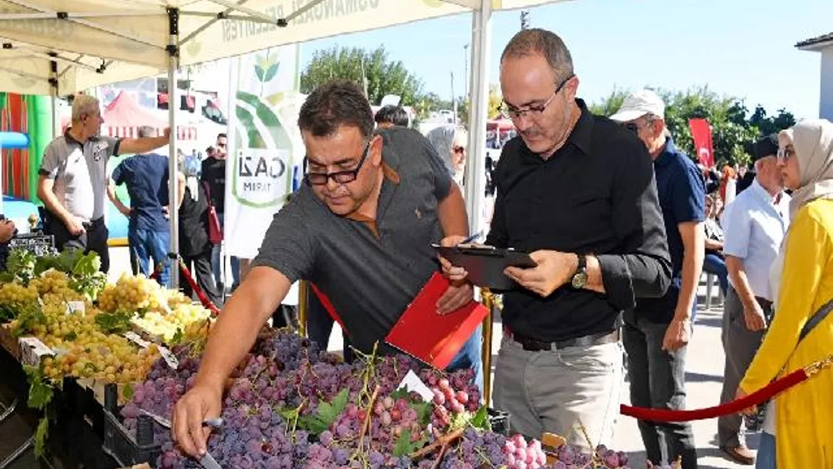 Bursa'da en kaliteli üzümler Osmangazi’de yarıştı