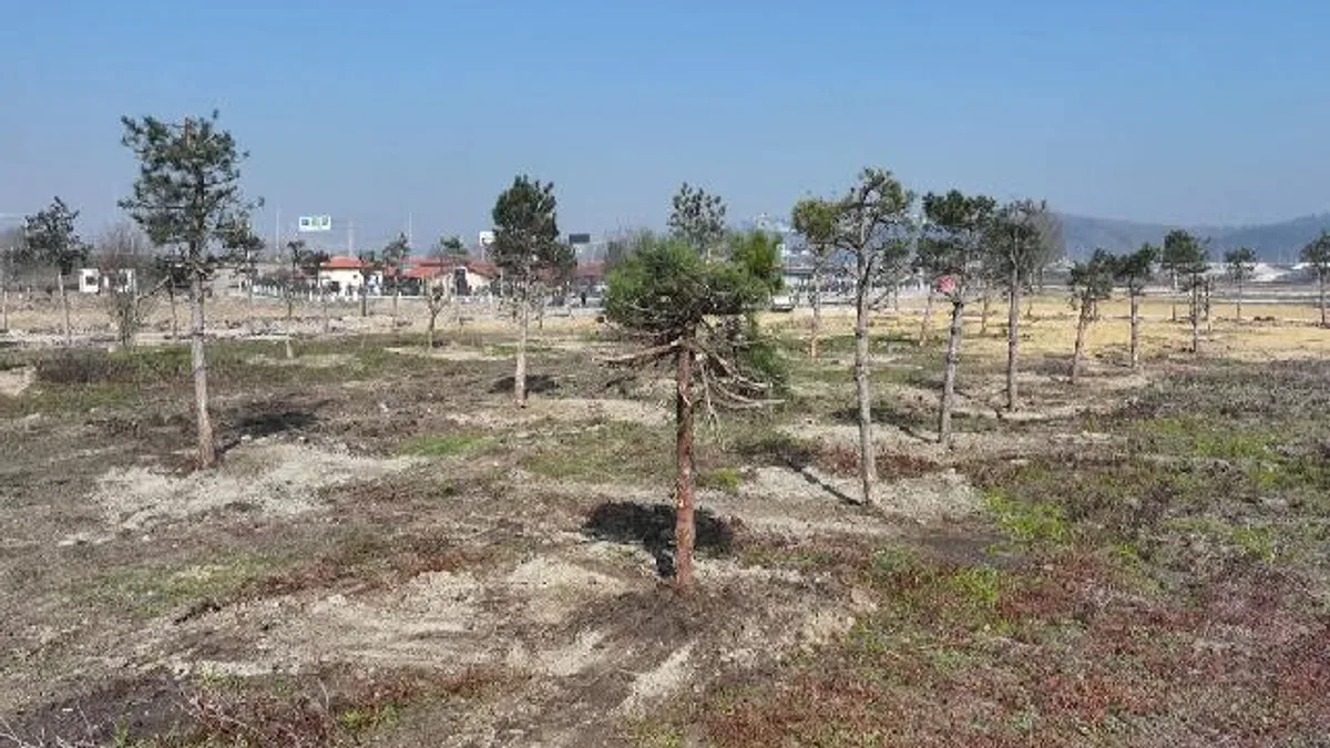 Sakarya’da yeşil cenneti Büyükşehir eliyle yaşatılıyor