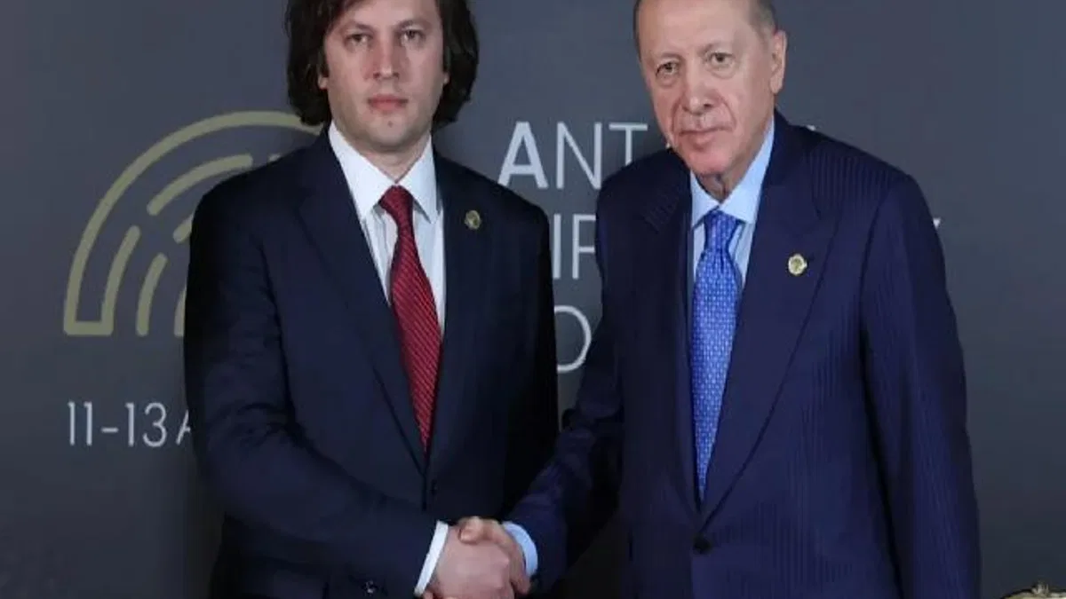Cumhurbaşkanı Erdoğan, Gürcistan Başbakanı Kobakhidze ile görüştü