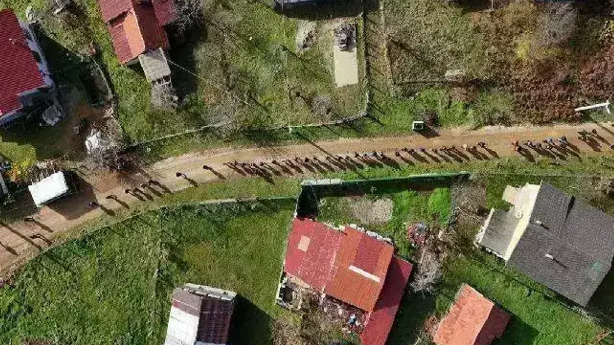 Sakarya’da doğa yürüyüşlerine 'Kıranyurt'ta final