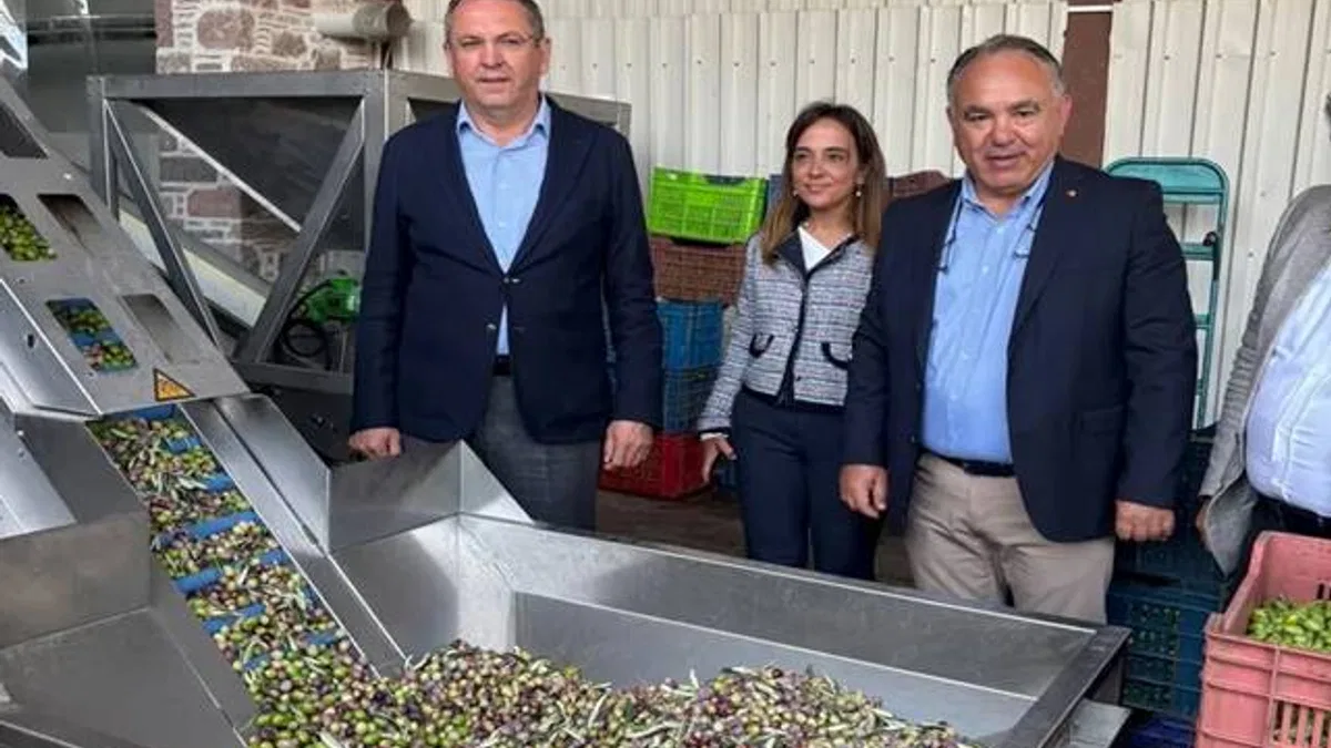 Zeytinyağı ihracatında en büyük sorun markasızlık