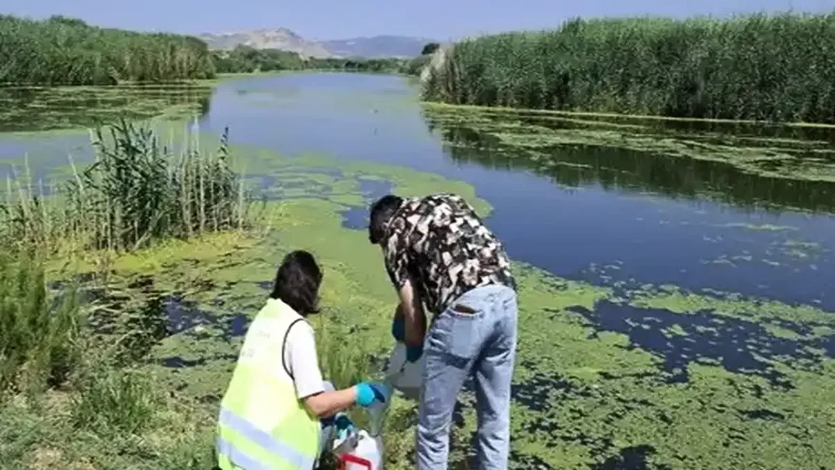 İzmir ve Manisa'da Gediz kirliliği arttı
