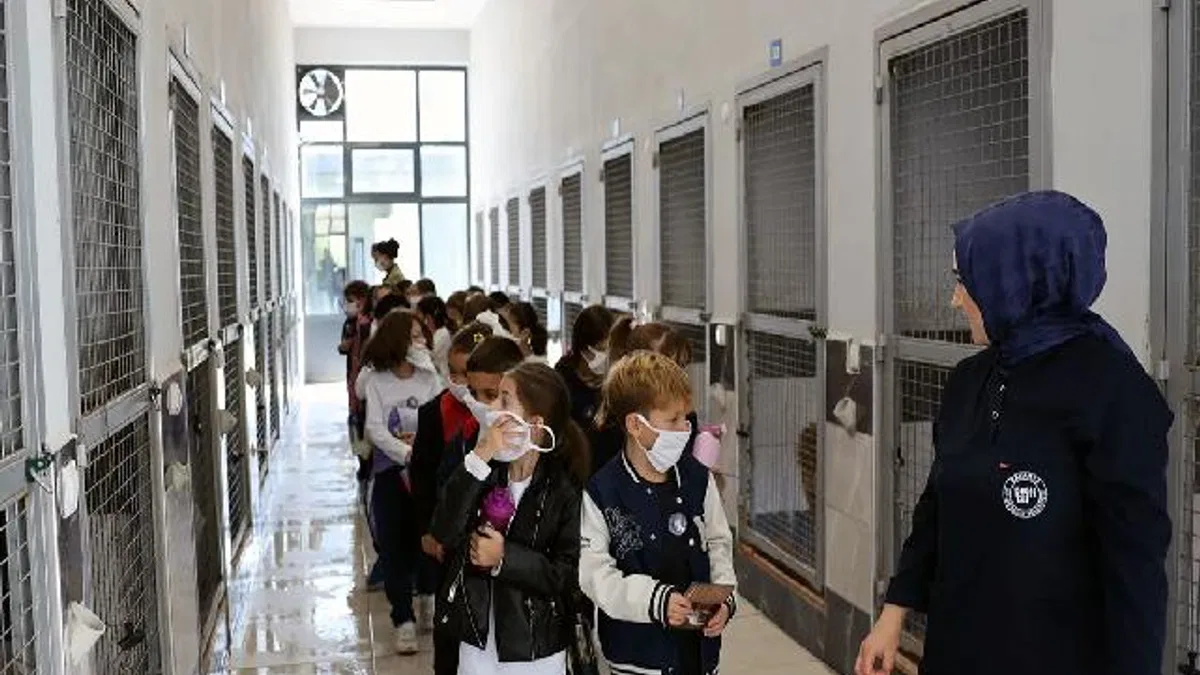 Sakarya'da can dostların yeni dünyasına hayran kaldılar