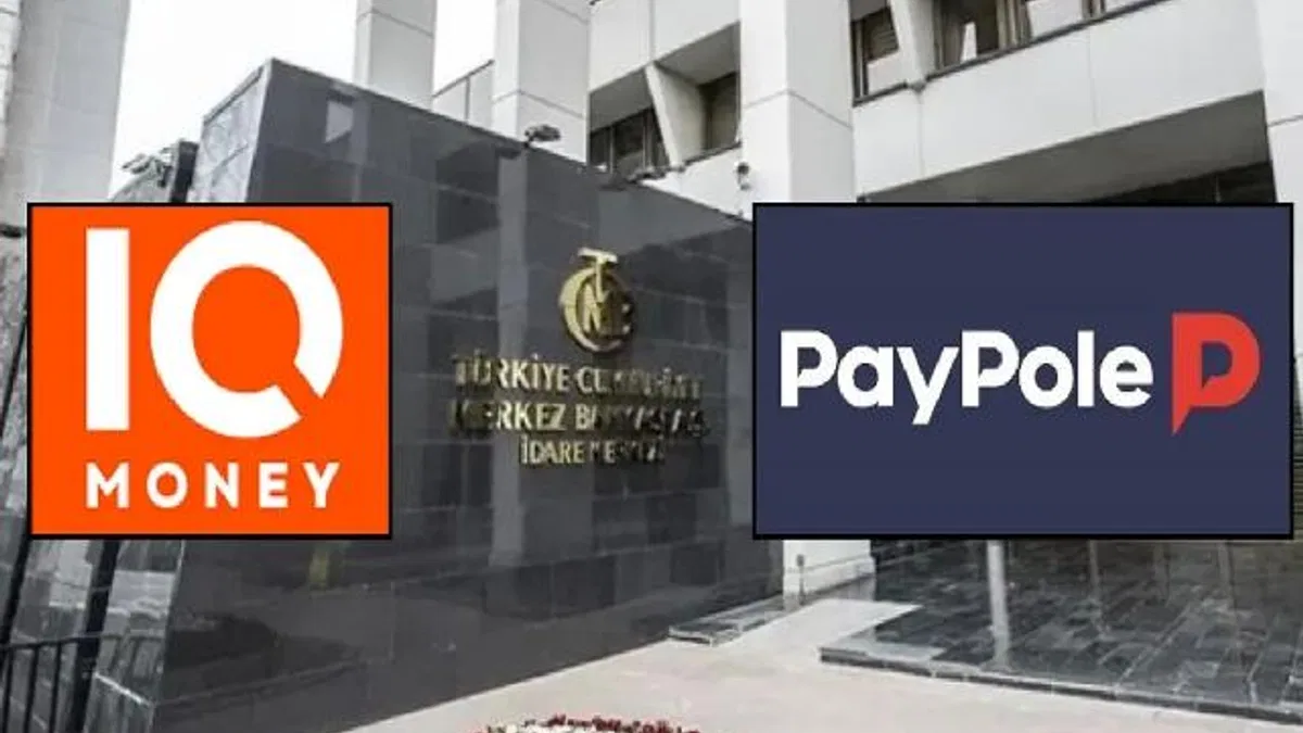 IQ Money ve Paypole'un faaliyet izinleri iptal edildi
