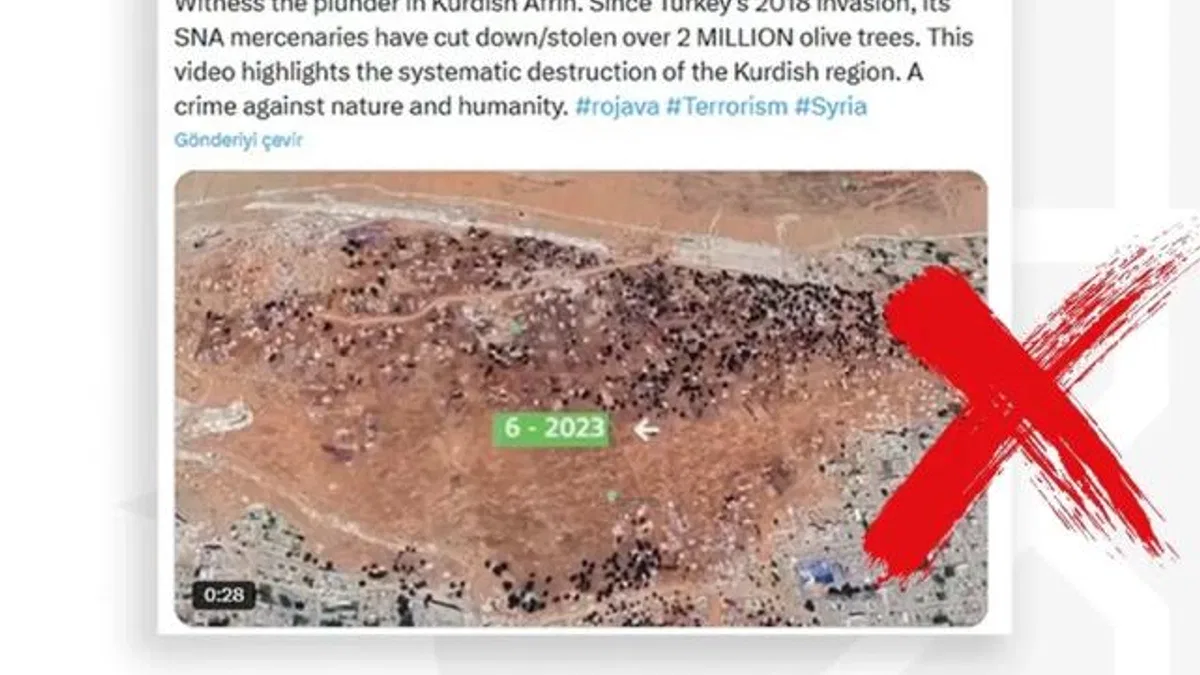 Afrin'de 2 milyon zeytin ağacı kesildi iddiasına İletişim'den yanıt