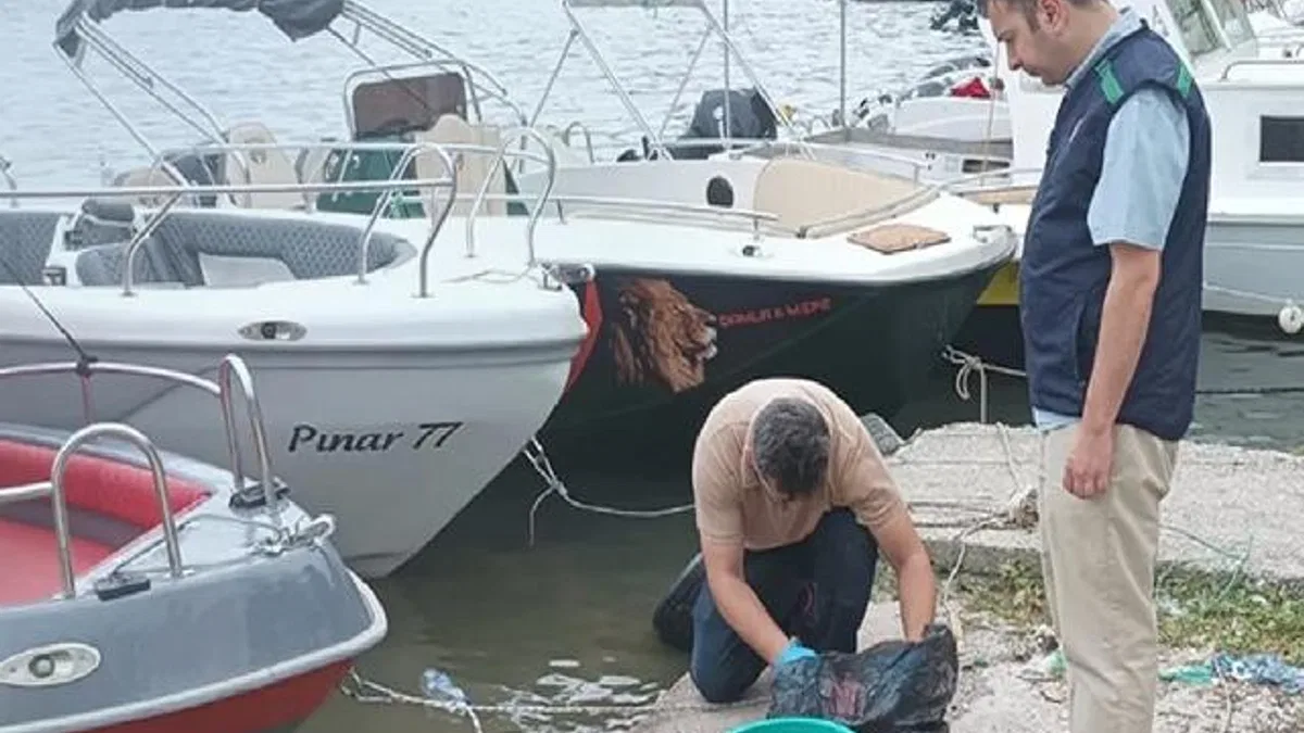 Yalova'da denizi kirleten iki belediyeye 'Çevre' cezası