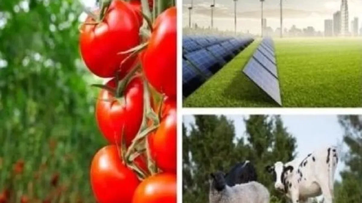 Tarımda yeni destek dönemi:  Yatırımlara yüzde 50 hibe fırsatı!