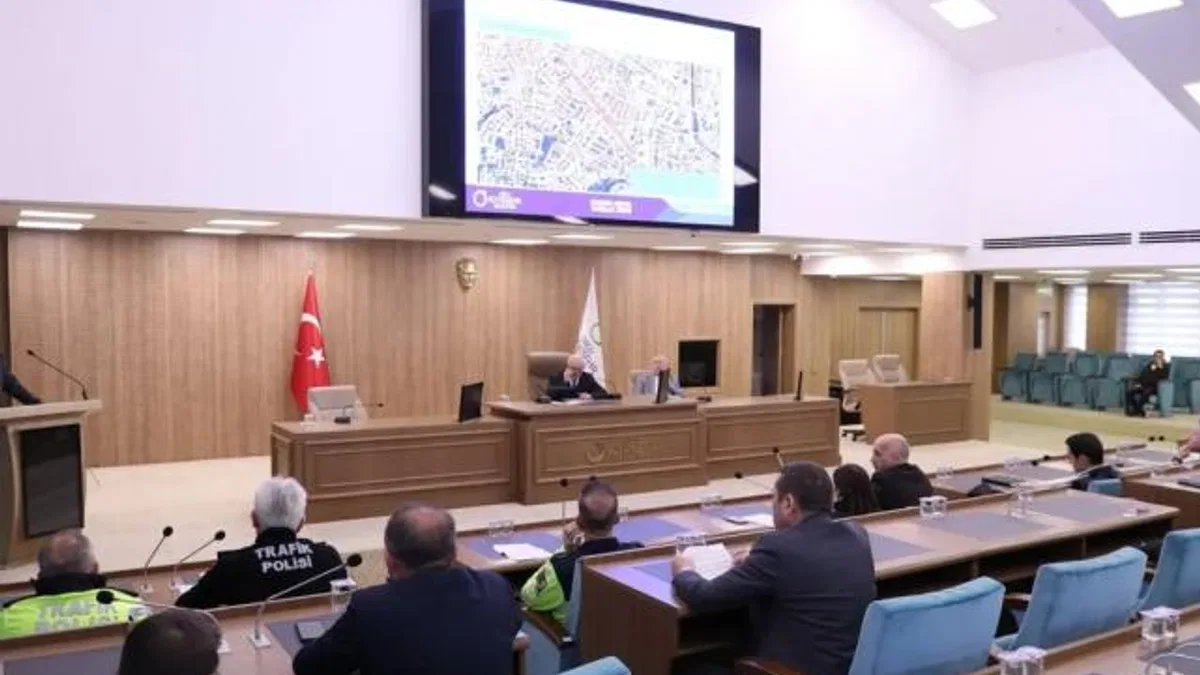 Ordu Altınordu’da bazı caddeler ücretli otopark oldu