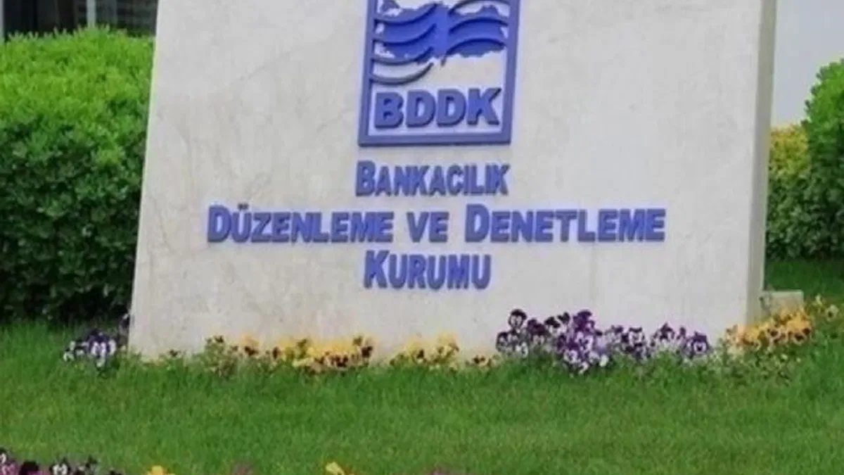 BDDK'dan 'Hayhay Finansman'a faaliyet izni