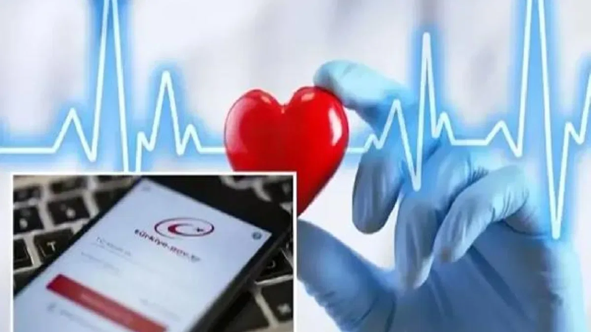 Vasiyetlerde e-devlet'te! Organ bağışı e-Nabız ve e-Devlet üzerinden yapılabilecek