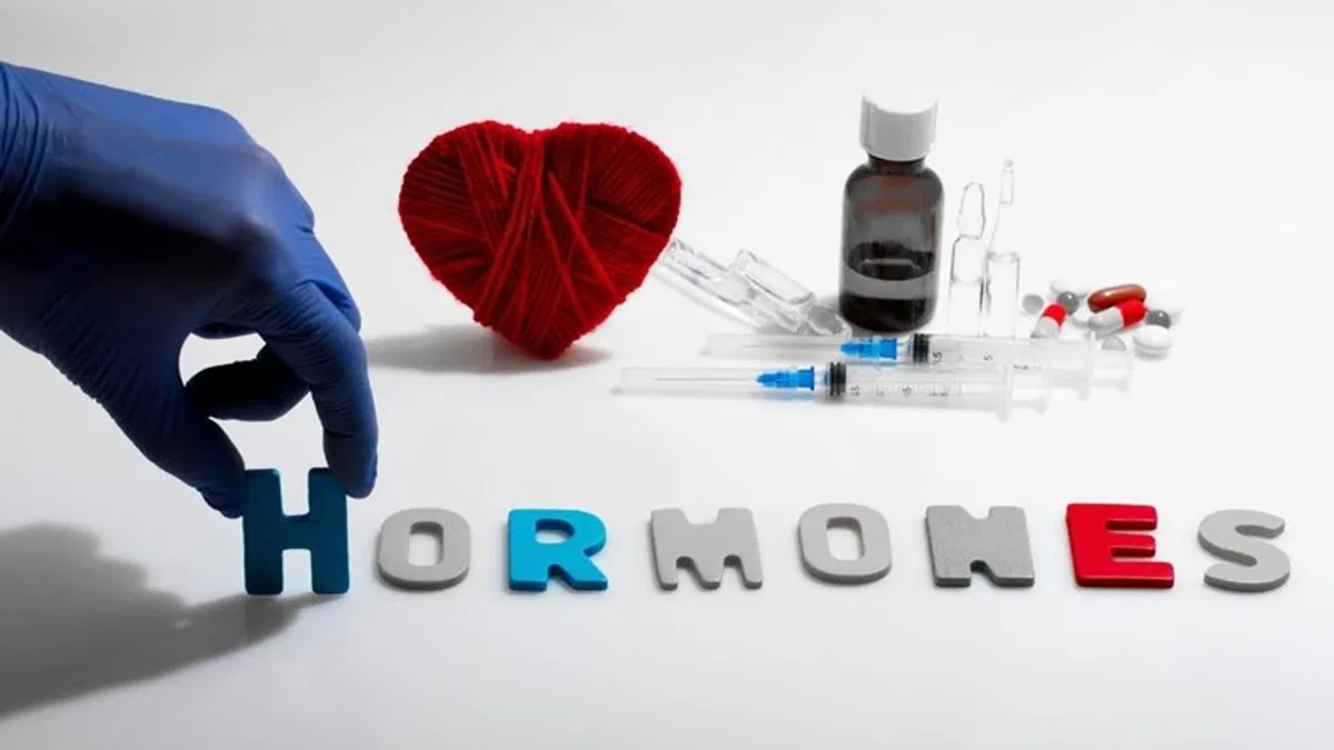 Hormonlar vücudun orkestra şefleri