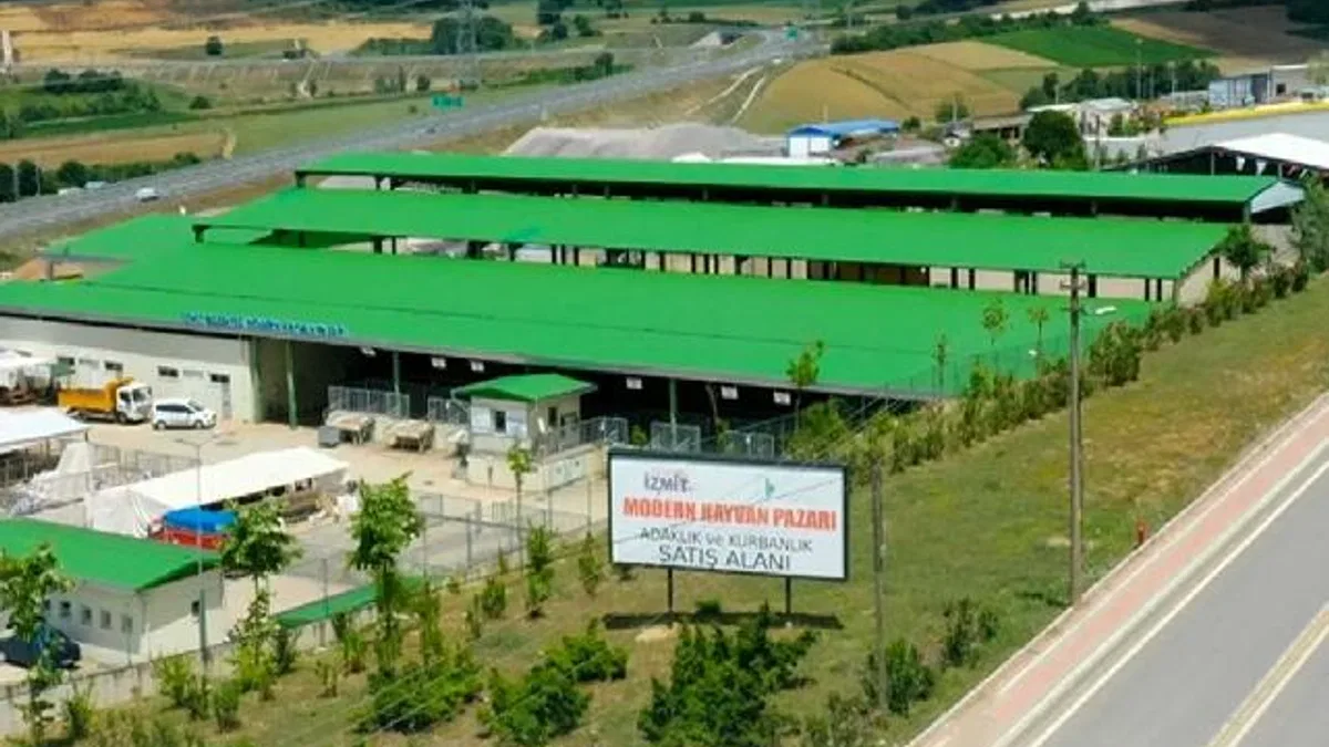 İzmit'te kurban satışı için ön kayıtlar başladı