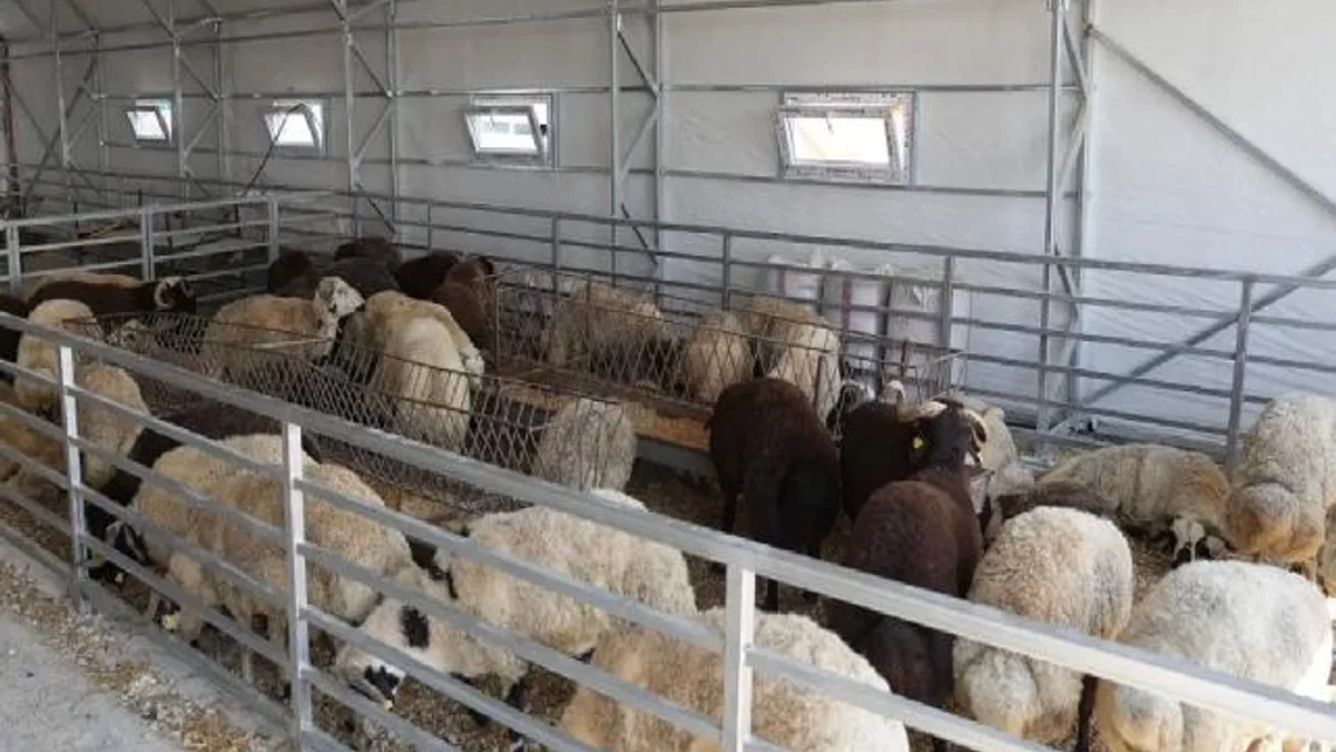 Eskişehir’de hayvan pazarı geçici süreyle kapatıldı