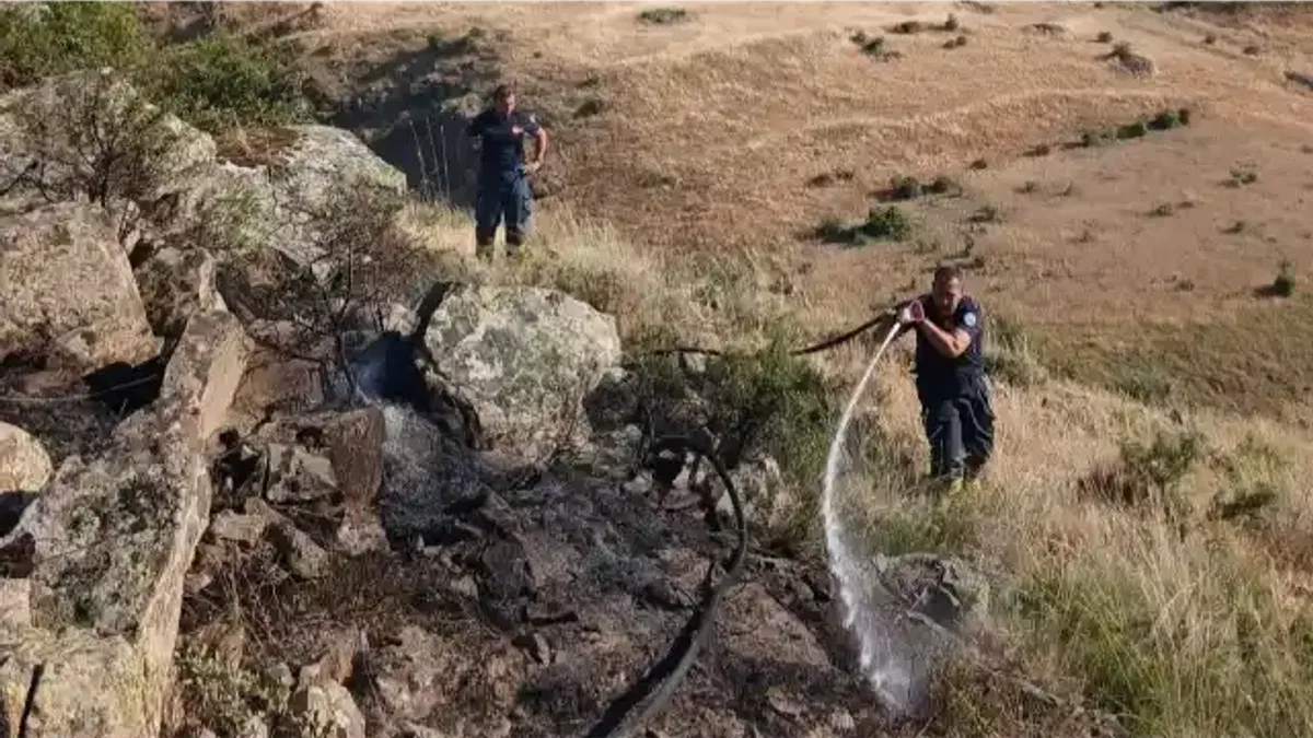 Eskişehir'deki orman yangınına müdahale sürüyor