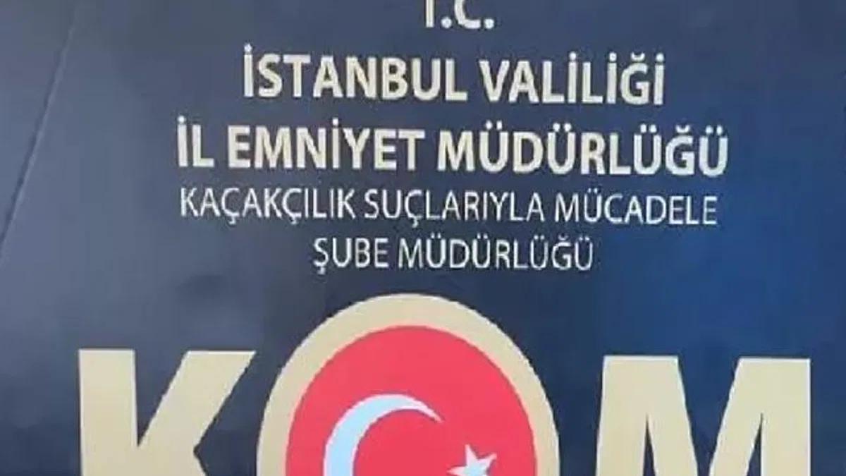 İstanbul’da tarihi eser kaçakçılığı operasyonu! 7 gözaltı