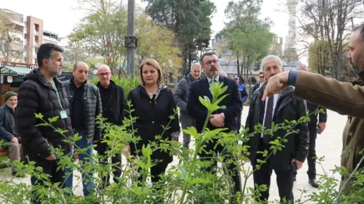 Yeni Cuma Parkı yaz aylarında botanik bahçesine dönüşecek