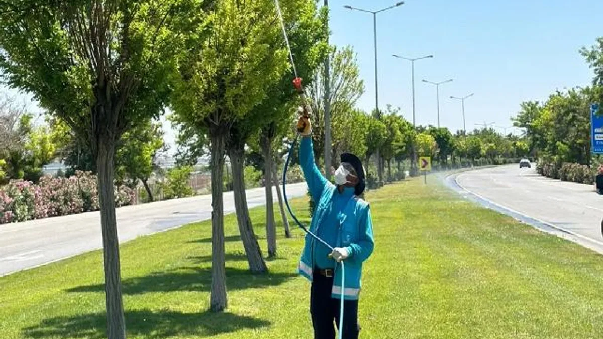 Gaziantep’te yoğun ilaçlama seferberliği
