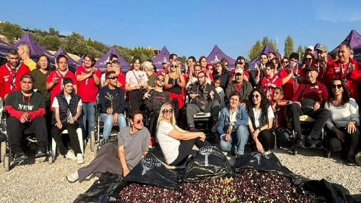 Engelli yurttaşlar zeytin hasadında buluştu