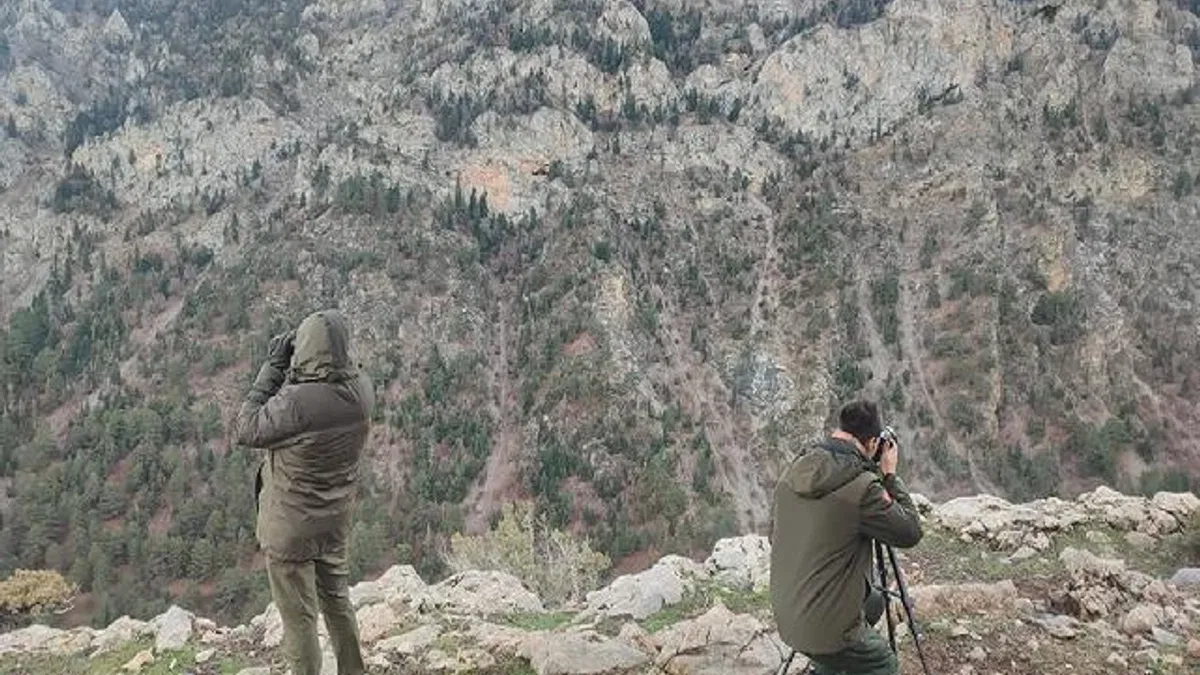 Antalya’da yasadışı avcılığa suçüstü!