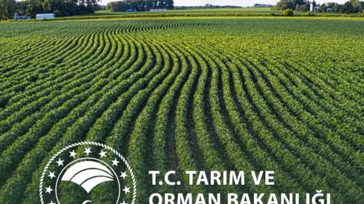Yeni yılda kırsal kalkınmada destekler artıyor