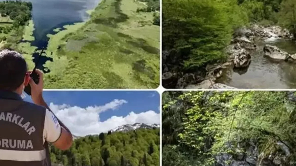 Doğa Koruma ve Milli Parklar Uzmanlığı için 'tez' zorunluluğu