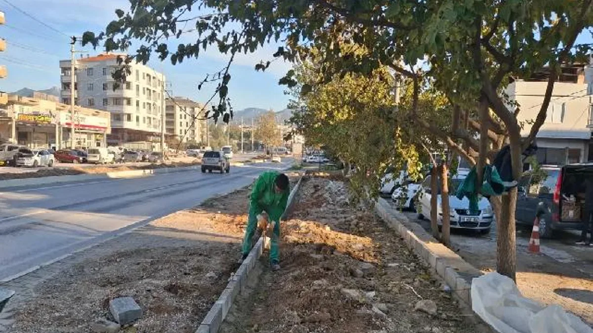 Muğla Milas'ın dört bir yanı yeşile bürünüyor