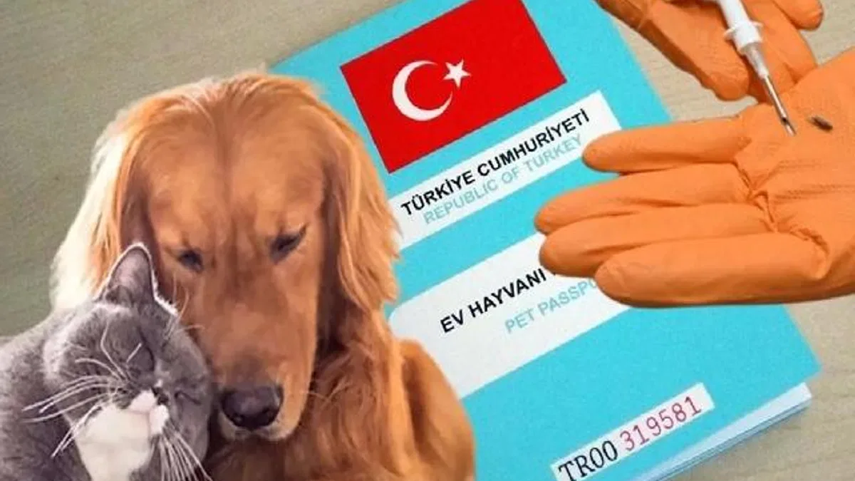 Kimliklendirilmeler yıl sonuna uzatıldı!