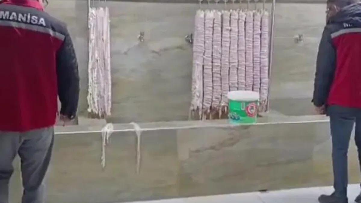 Manisa'da 4 milyon TL'lik bozulmuş kokoreçe imha!
