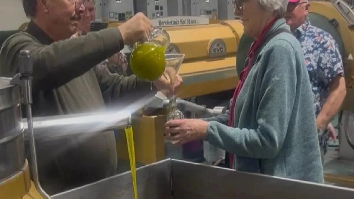 Alman çiftçiler Ayvalık zeytinyağına hayran kaldı