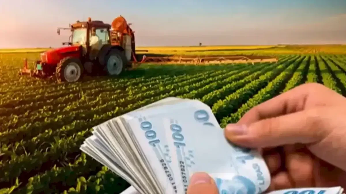 1,3 milyar TL'lik tarımsal destek ödemeleri hesaplarda