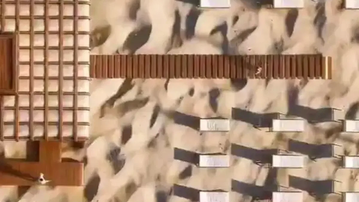 Ücretsiz halk plajlarında yeni sezon hazırlığı... Sayı 23’e çıkacak