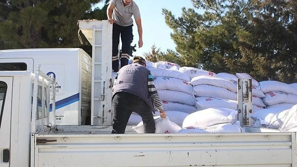 Antalya Büyükşehir'den üreticilere süt yem desteği