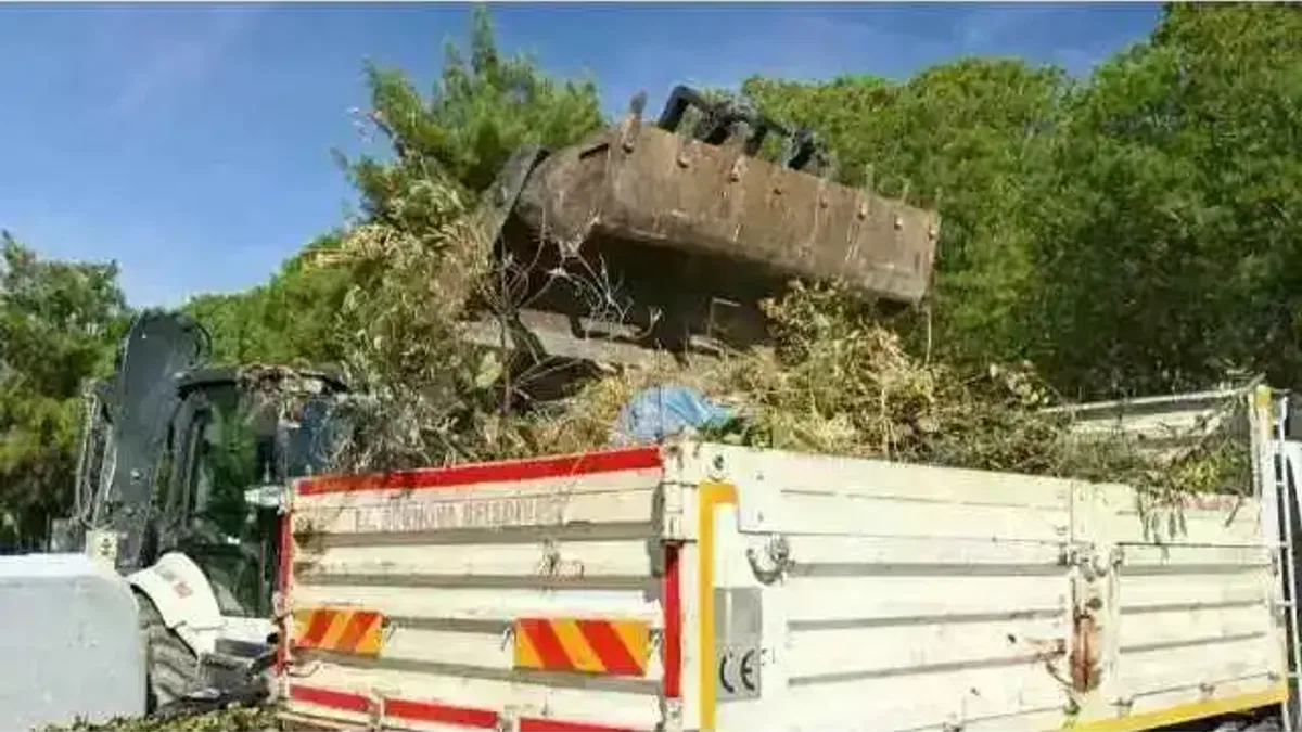 Bornova’da yaz öncesi kuru otlar temizlendi