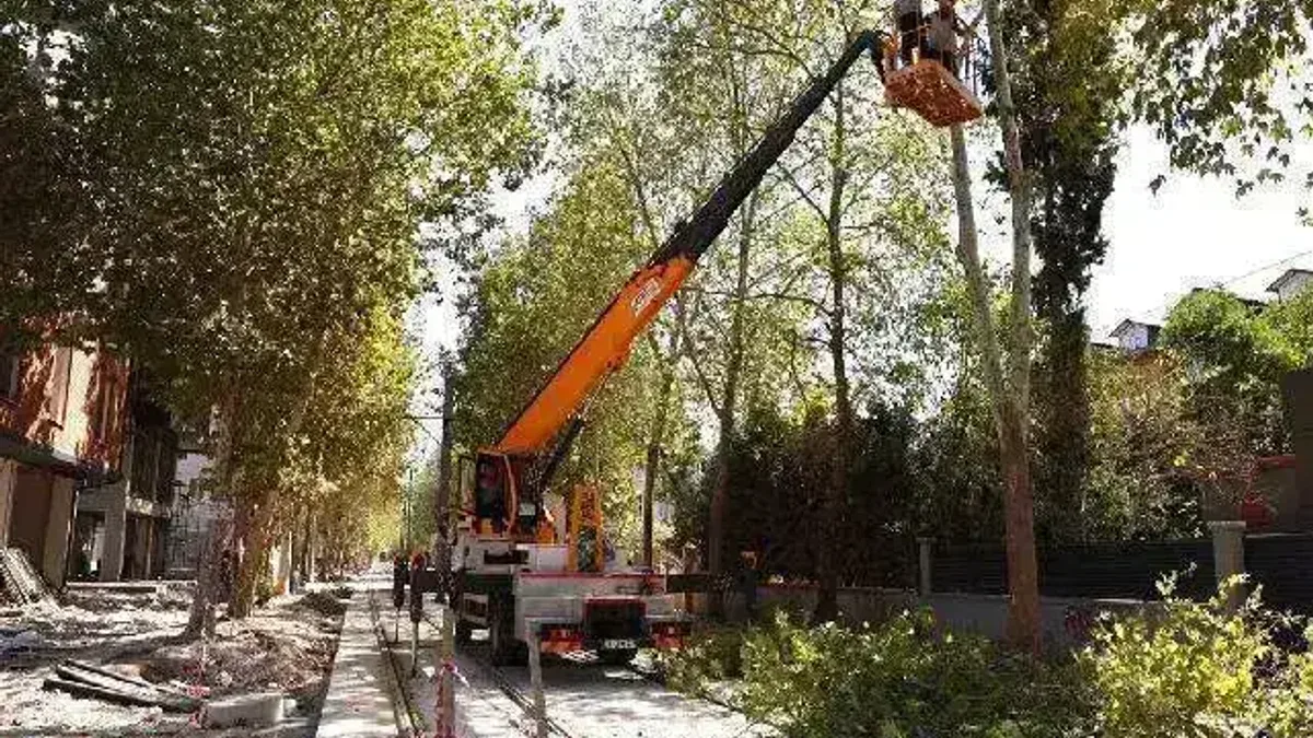 Alikahya Tramvay Hattı için ağaçlara itinalı budama