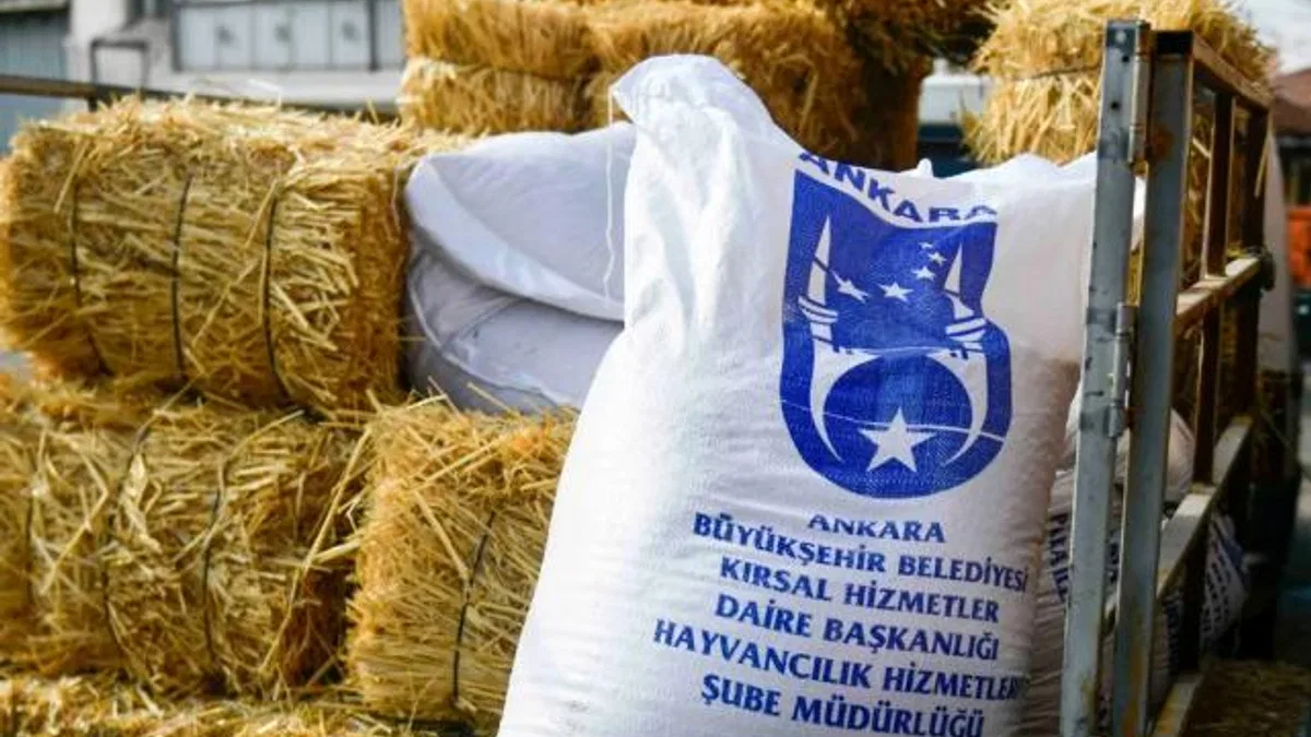 Ankara'da mandacılara yüzde yüz hibeli yem desteği