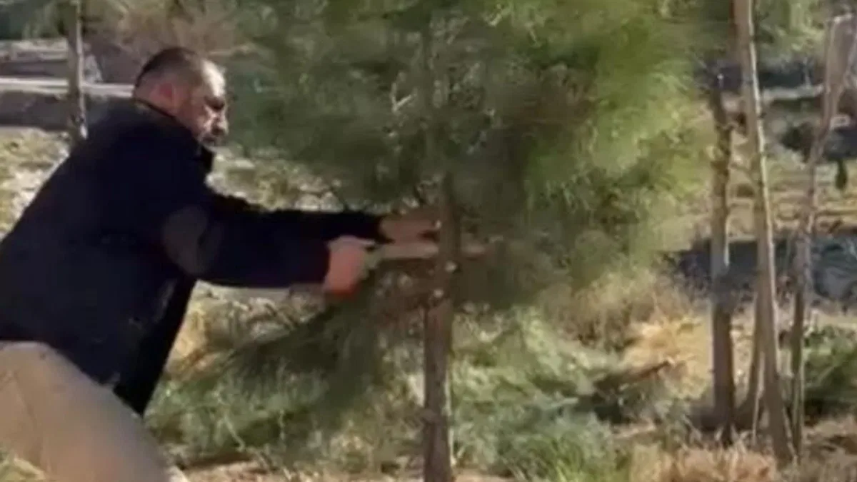 Mardin Artuklu'da muhtar kendi elleriyle ağaçları budadı