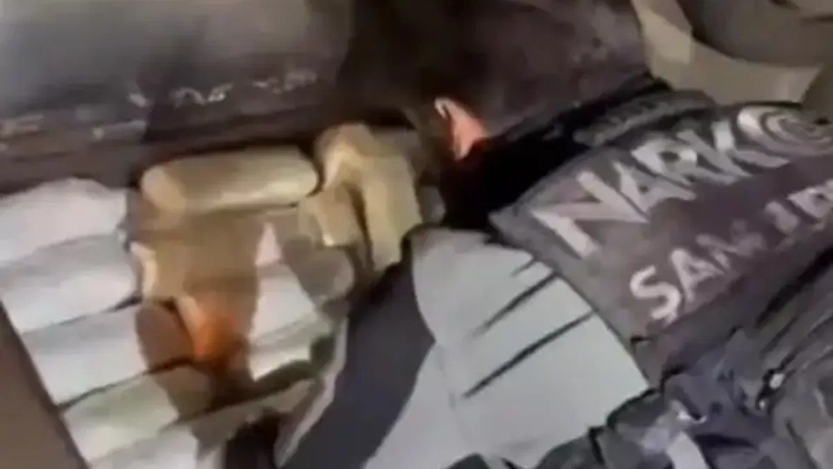 Şanlıurfa’da 20 kilogram skunk ele geçirildi