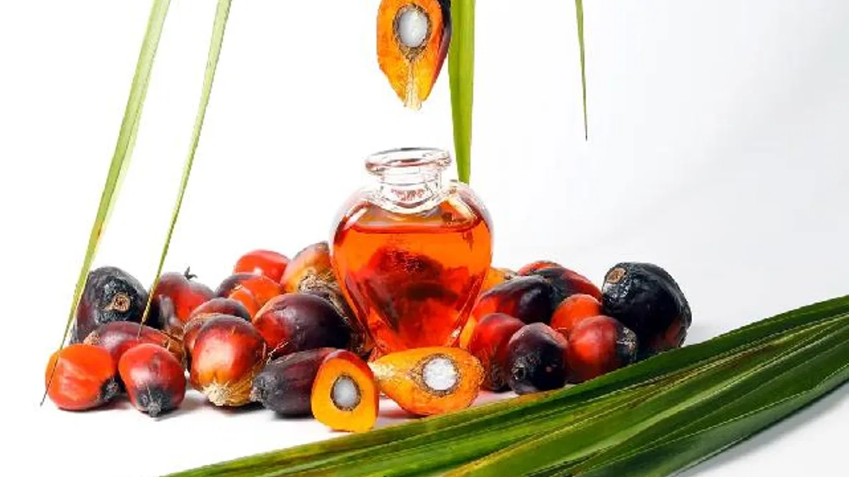 Palm yağıyla ilgili yanlış algılar çürütüldü!